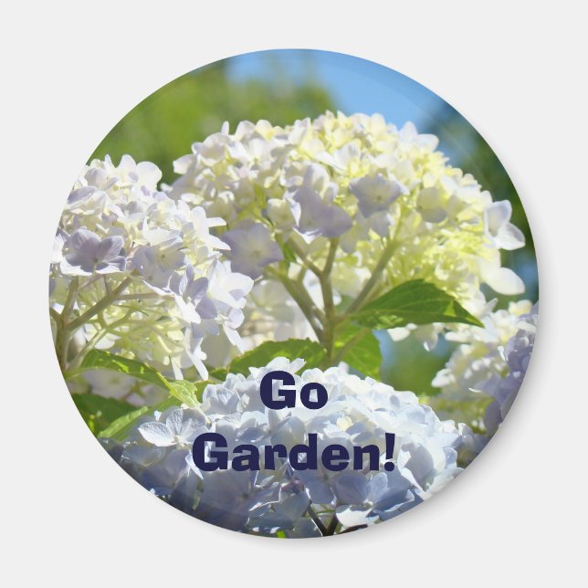 Go Garden! magnets Blue Hydrangea Flowers (Front)