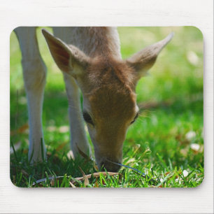 Go green for Deer Antelope Mouse Pad