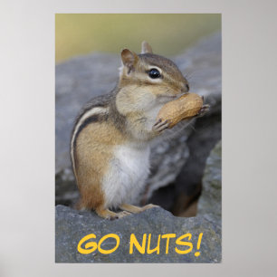 Go Nuts! Poster