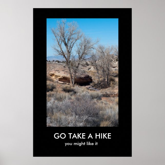 GO TAKE A HIKE demotivational poster (Front)
