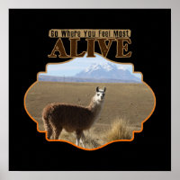 Go Where You Feel Most Alive Llama Adventurer