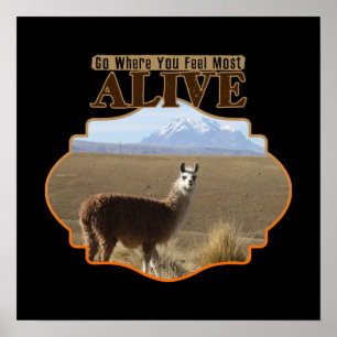 Go Where You Feel Most Alive Llama Adventurer Poster