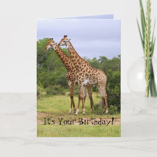 "Go Wild" Happy Birthday Giraffes Card (Front)