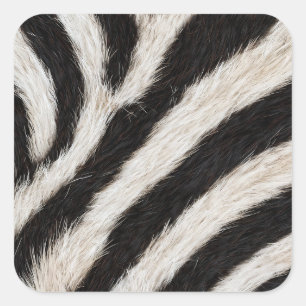 Go Wild Zebra Stripe Black White Faux Fur Look Square Sticker