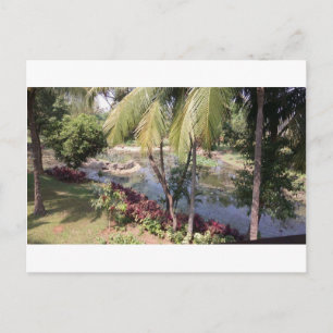 Goa India Garden Postcard