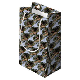 Goa India Small Gift Bag