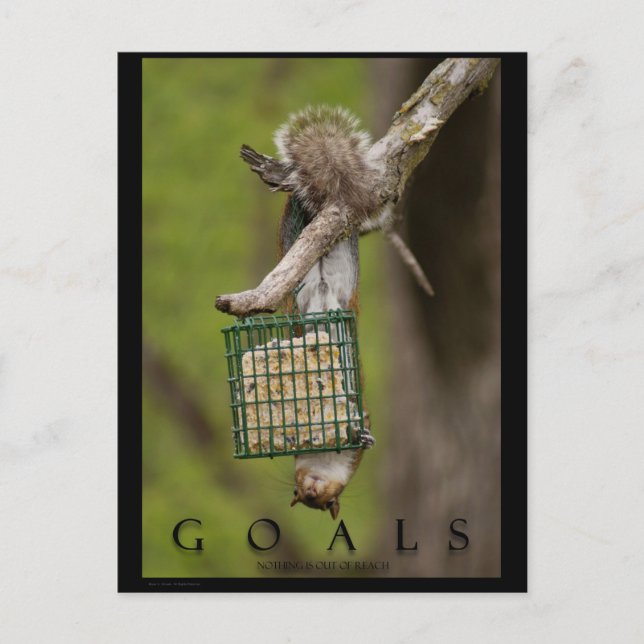 GOALS Inspirational Funny Squirrel Postcards (Front)