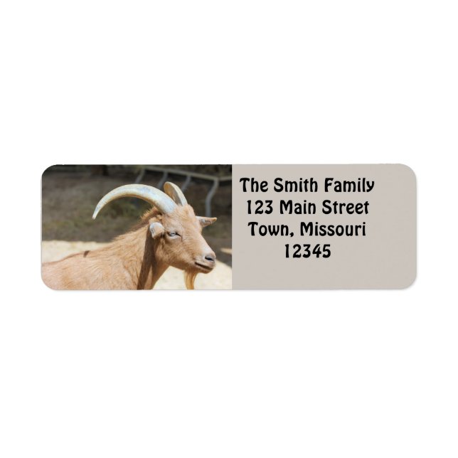 Goat (Front)