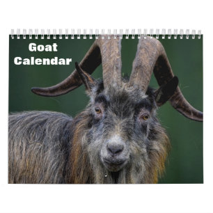 Goat 2027 calendar