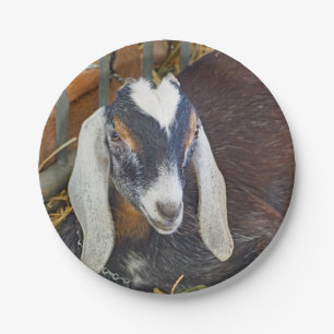Goat 640 paper plate
