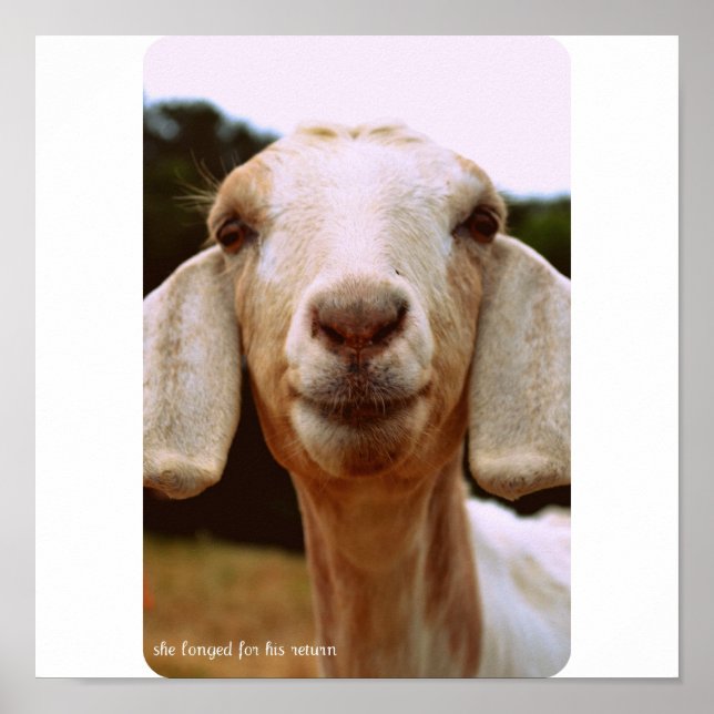 Goat Art Poster (Front)