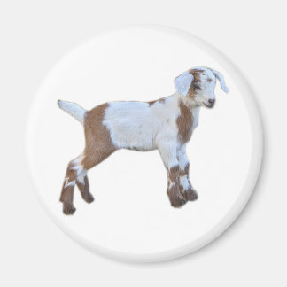 Goat baby magnet