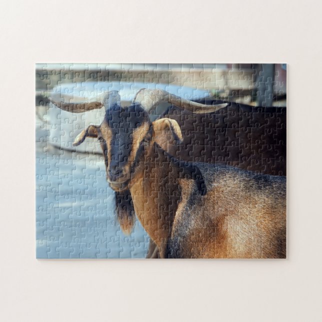 Goat Black Brown Animal Photo Jigsaw Puzzle (Horizontal)
