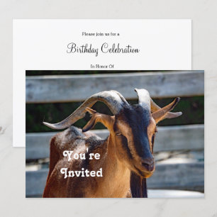 Goat Black Brown Horns Animal Photo Birthday Invitation