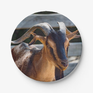 Goat Black Brown Horns Animal Photo Paper Plate