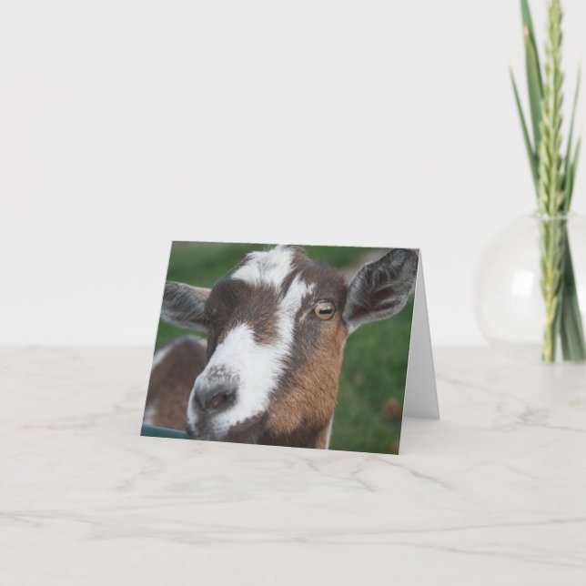 Goat Blank card (Front)