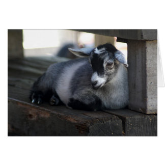 Goat Blank Card