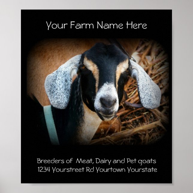 Goat Breeder Business Poster (Front)