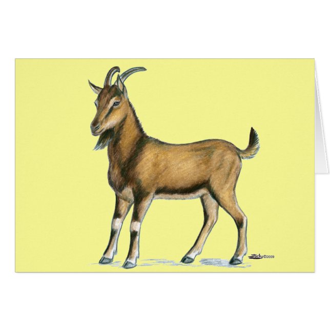 Goat:  Brown (Front Horizontal)
