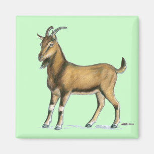 Goat:  Brown Magnet