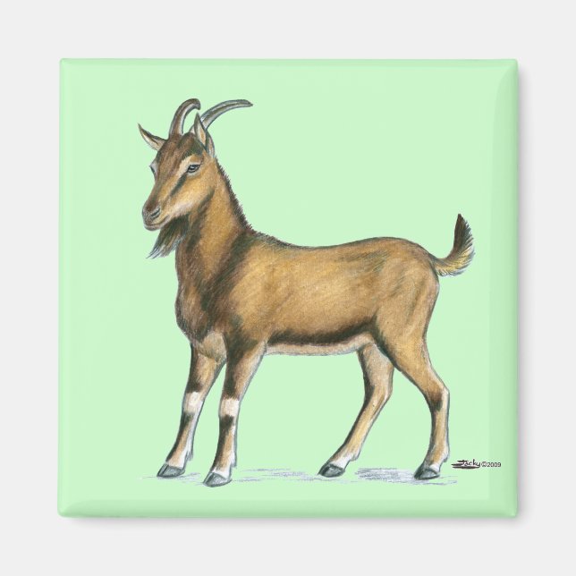 Goat:  Brown Magnet (Front)