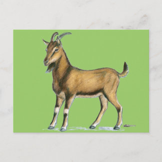 Goat: Brown Postcard
