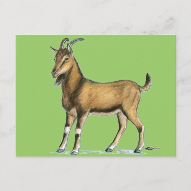 Goat:  Brown Postcard (Front)