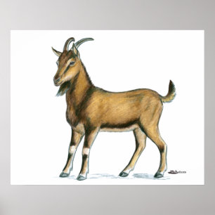 Goat: Brown Poster