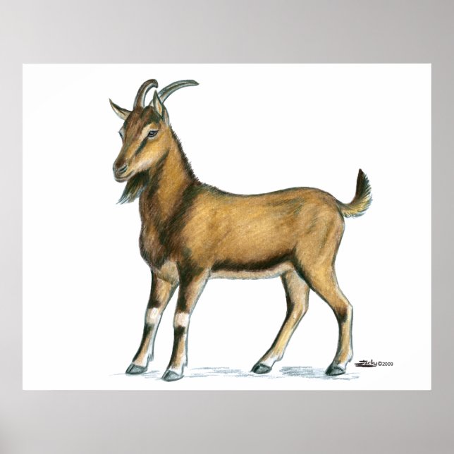 Goat:  Brown Poster (Front)