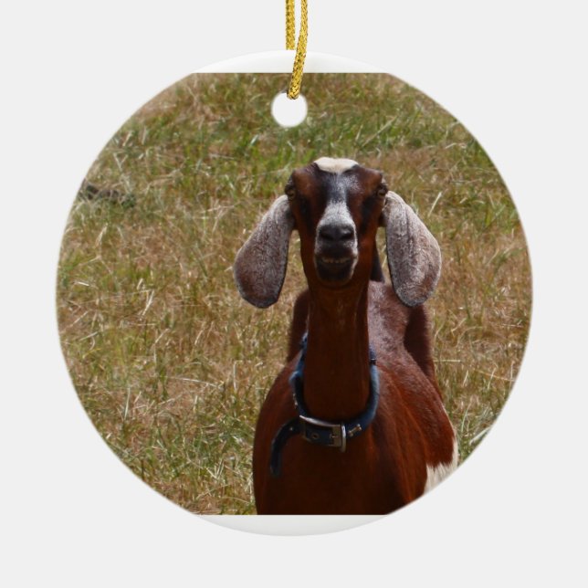 Goat Ceramic Tree Decoration (Front)