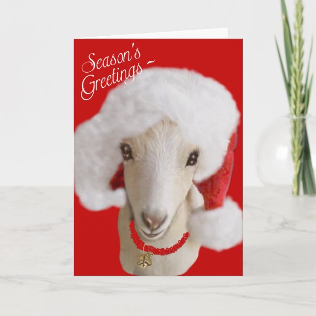 Goat Christmas Card LaMancha Goat (Front)