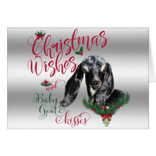 GOAT   Christmas Wishes Baby Goat Kisses Nubian