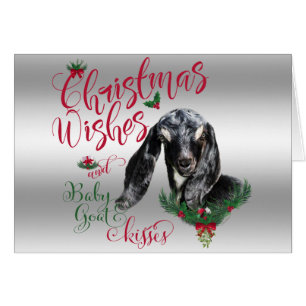 GOAT   Christmas Wishes Baby Goat Kisses Nubian