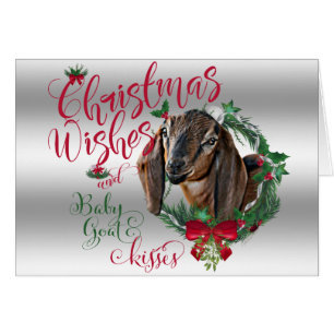 GOAT   Christmas Wishes Baby Goat Kisses Nubian 2