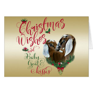 GOAT   Christmas Wishes Baby Goat Kisses Nubians