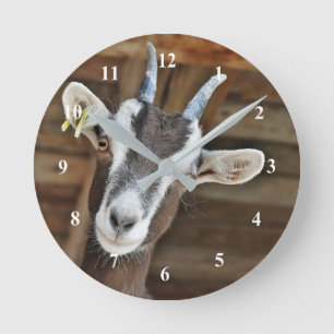 Goat Clock