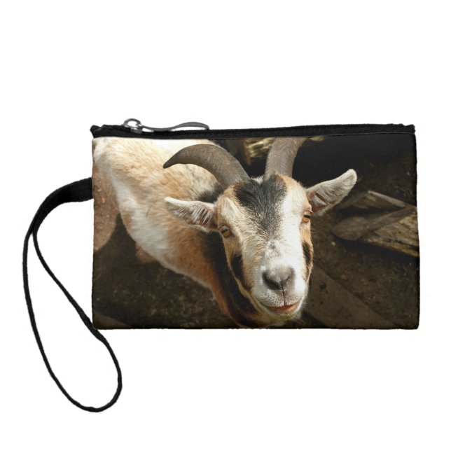 goat coin purse (Back)
