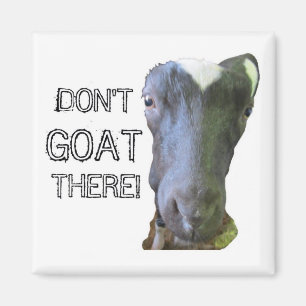 Goat "DON'T GOAT THERE!" Magnet