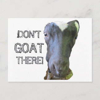 Goat "DON'T GOAT THERE" Postcard