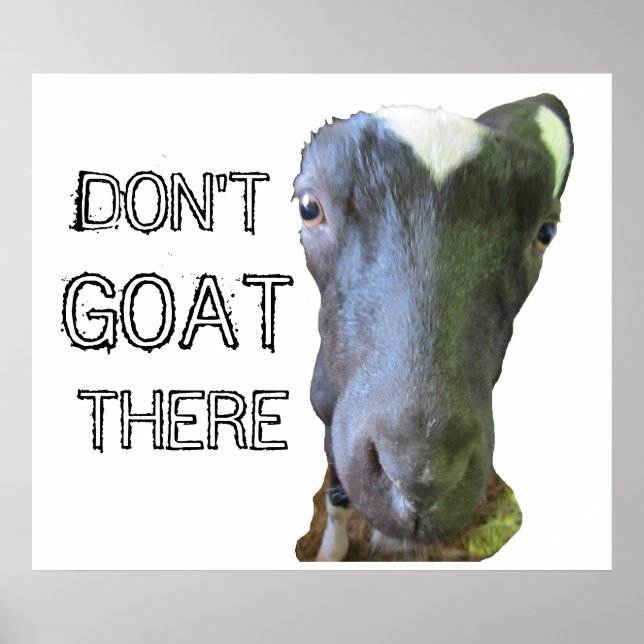 Goat "DON'T GOAT THERE" Poster (Front)