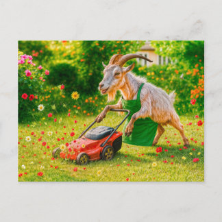 Goat Gardener Destroys Flower Garden Holiday Postcard