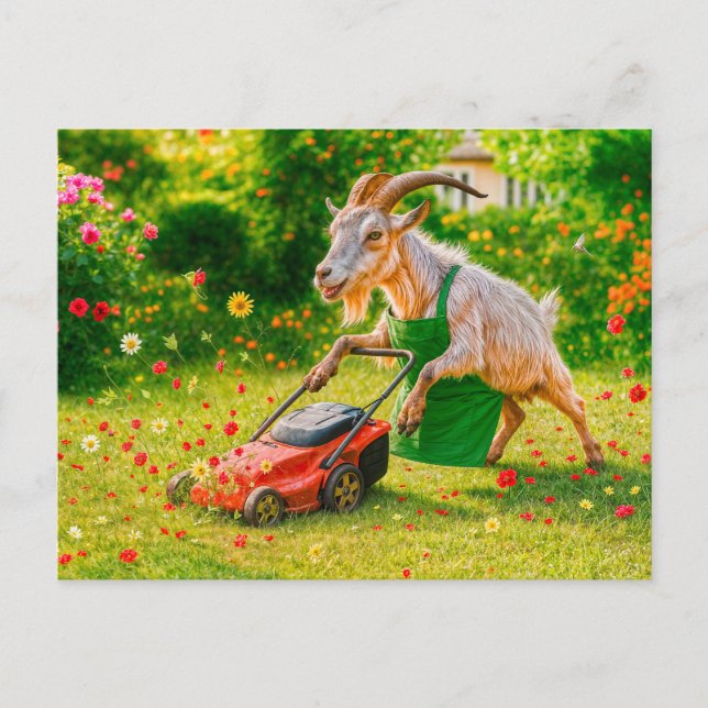 Goat Gardener Destroys Flower Garden Holiday Postcard (Front)