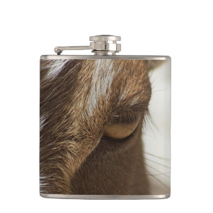 Goat Hip Flask