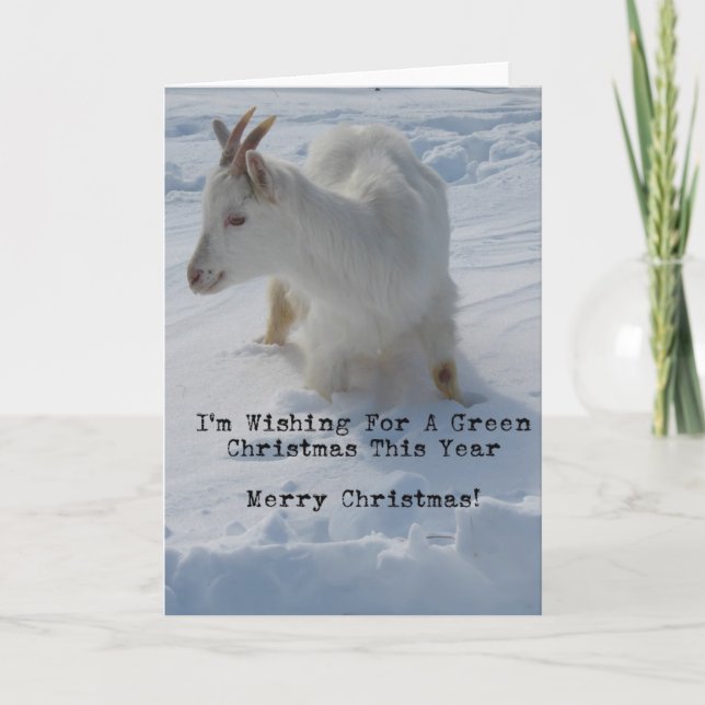 Goat In A Deep Snow Drift, Merry Christmas Holiday Card (Front)