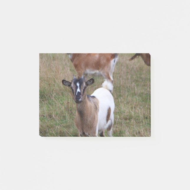 Goat in a field post-it notes (Front)