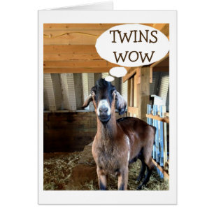 GOAT IS SO EXCITED FOR YOUR TWIN BIRTH-DOUBLE LOVE