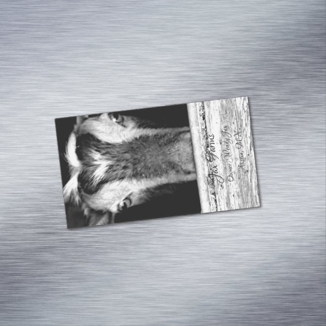 Goat Magnet (In Situ)