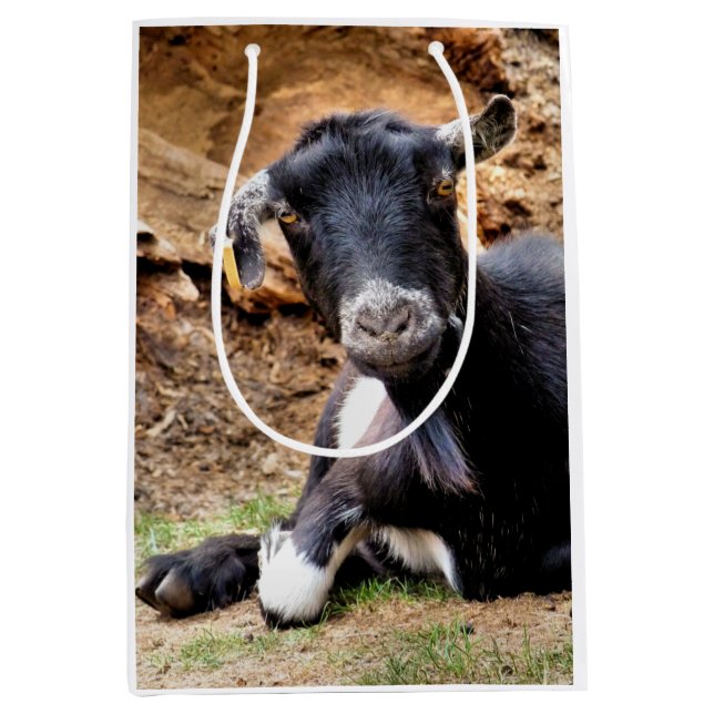 GOAT MEDIUM GIFT BAG (Front)