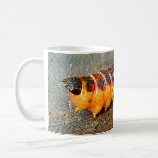 Goat Moth Caterpillar Bug Mug (Left)