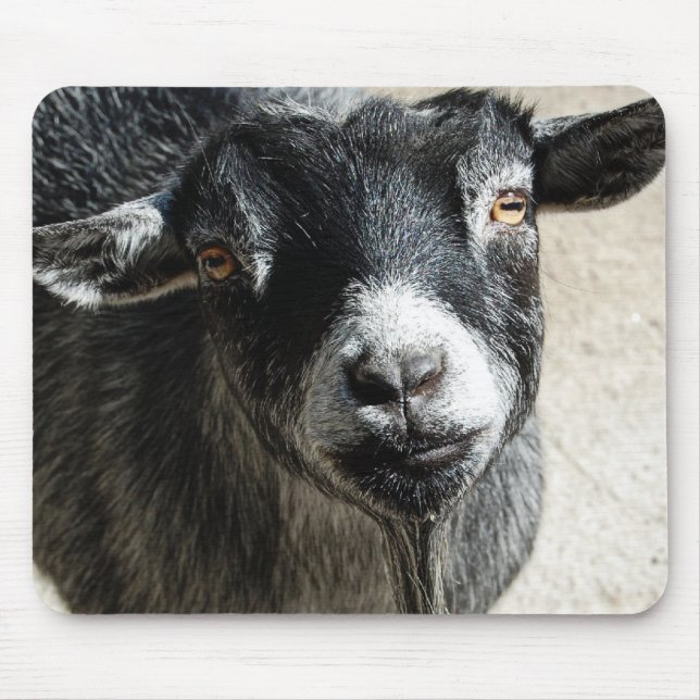 Goat Mouse Pad (Front)
